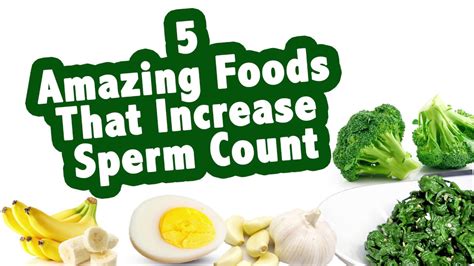 Five Amazing Foods That Increase Sperm Count Youtube