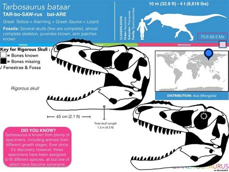 Tarbosaurus Bataar Skull Skeletal Walking With Dinosaurs Prehistoric