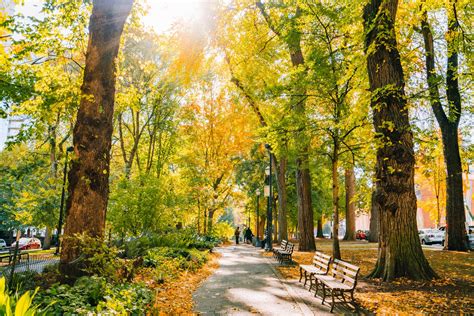 12 Stunning Parks In Portland Oregon Locals Guide