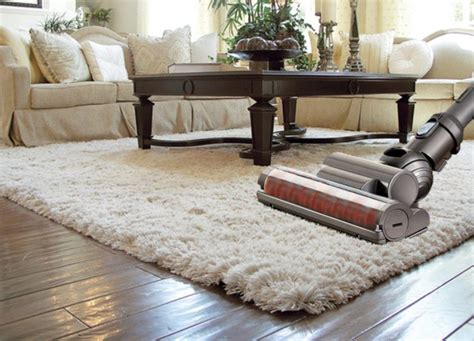 7 Best Vacuum For High Pile Carpet To Buy Reviews And Comparison 2021