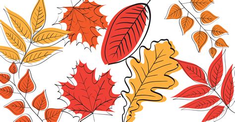 Thanksgiving reminds us that we don't have to understand the situation; 9 Thanksgiving Sermons Pastors Will Be Thankful For
