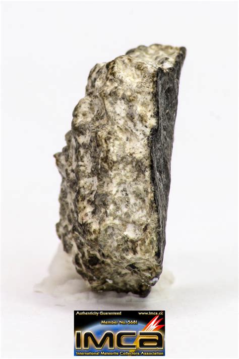 Fragment 1519 G Nwa Monomict Eucrite Achondrite With Fresh Fusion