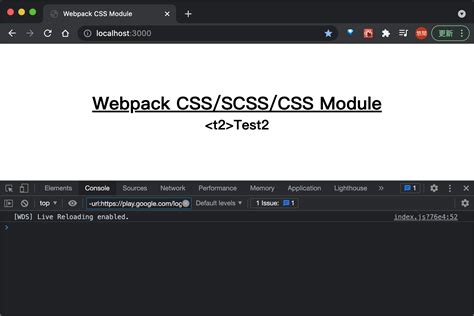 Webpack Css To Sass Scss And Css Module