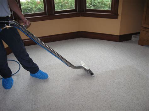 The Importance of Hiring Professional Carpet Cleaning Australia