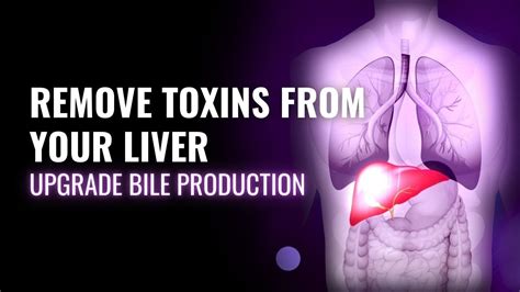 Detox The Liver Remove Toxins From Your Liver Upgrade Bile