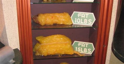 1 Pound Of Muscle Vs 1 Pound Of Fat Body By Vi