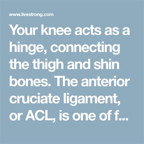 Your Knee Acts As A Hinge Connecting The Thigh And Shin Bones The