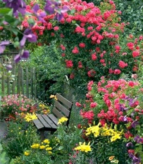 21 Beautiful Garden Rose Flower Ideas You Should Check Sharonsable