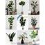 The Best Artificial Plants For Your Home  Crystalin Marie