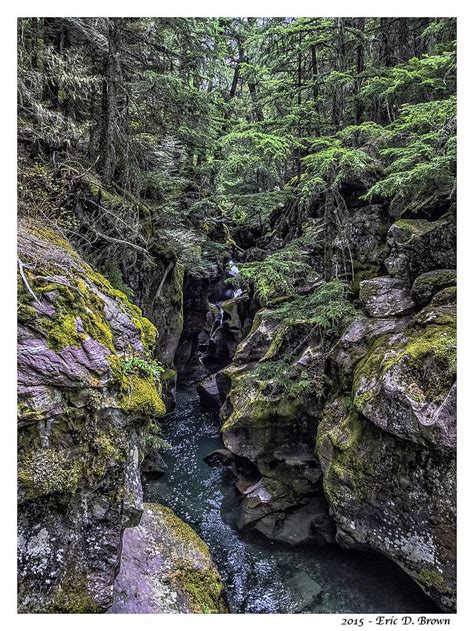 This Is Avalanche Creek Gorge On The Trail Of The Cedars In Glacier
