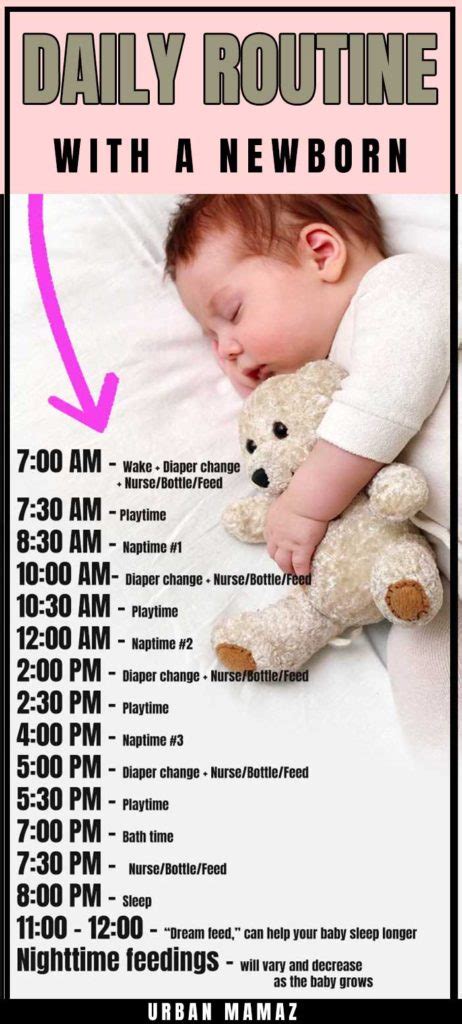 Daily Routine With A Newborn In 2020 Baby Routine Routine For