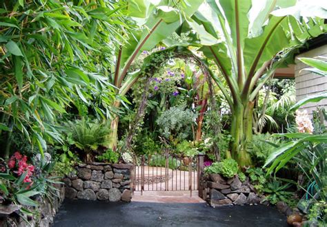 Tropical Landscape Design Ideas Gardening Flowers 101