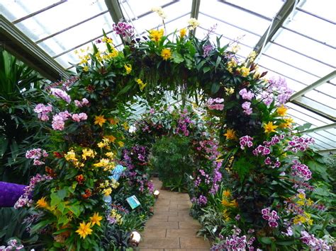 For orchids 2016, the gardens' horticulturalists drew. Last Chance To Visit This Year's Beautiful Orchid Festival ...