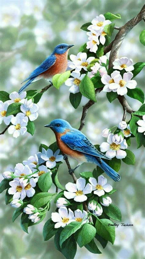 Pin By Mary Oracle On Spring Flowers Bird Pictures Colorful Birds