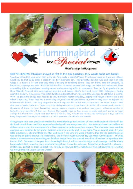 Pgfe Hummingbird Article Helicopter A4 Paper Ts For Estefany