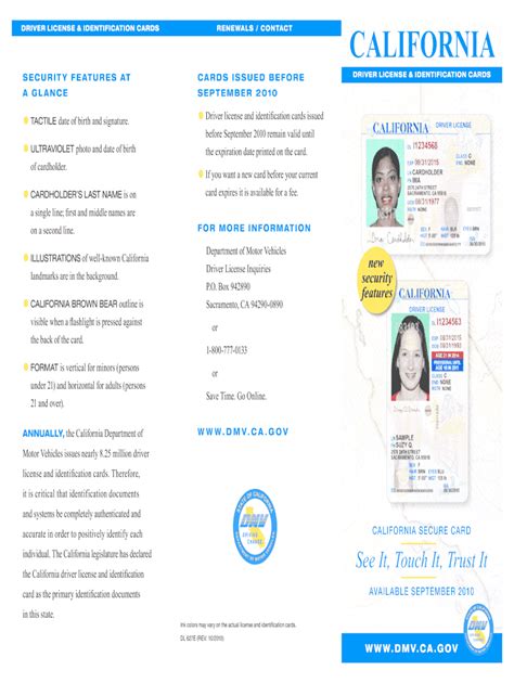 Ca Identification Form Fill Out And Sign Printable Pdf Template Signnow