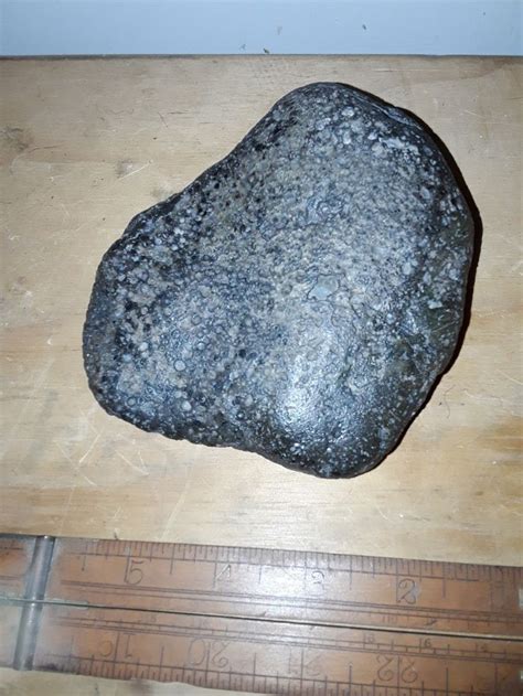 Unclassified Meteorite Carbonaceous Condrite Measures 130mm X 100mm X