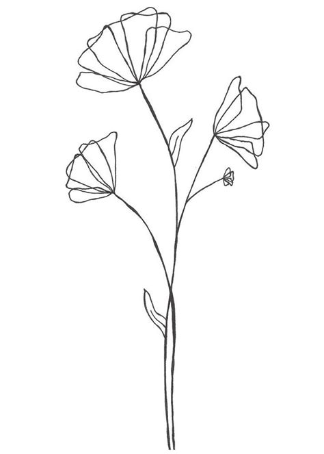 Simple Floral Line Drawing 2 Downloadable Print Etsy Thailand Poppy