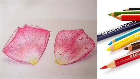 The best answers are voted up and rise to the top. How to Draw a Realistic Rose flower petals Easy Step by ...