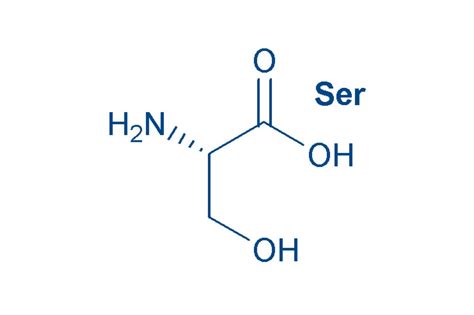 Chart Of Amino Acids And Its 20 Proteinogenic Amino Acids