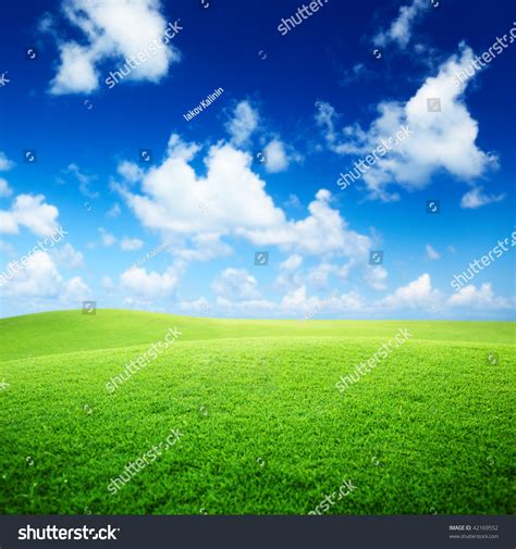 Field Of Grass And Perfect Blue Sky Stock Photo 42169552