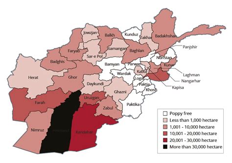 House Of Lords The Uk And Afghanistan Select Committee On