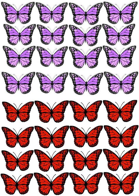 A Large Group Of Purple And Red Butterflies