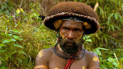 Wearing And Maintaining Wigs Are An Important Tradition For Papua New Guineas Huli People Abc