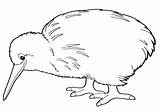 Kiwi Bird Coloring Animal sketch template