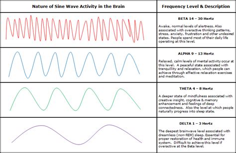 Theta Waves An Overview From Generation To Importance Brain