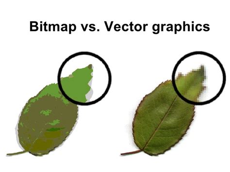 Bitmap Vector2