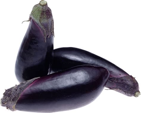 Eggplant Png Transparent Images Free Download Pngfre