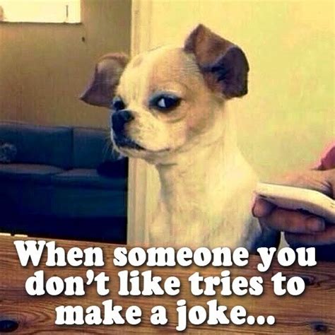 When Someone You Don T Like Tries To Make A Joke Funny Pic WHATSAPP