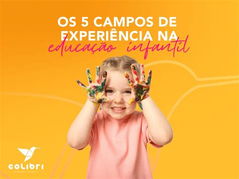 Relat Rio Educa O Infantil Campos De Experi Ncia