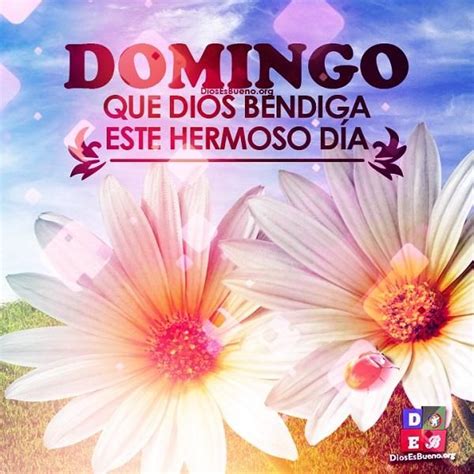 Maybe you would like to learn more about one of these? Muy feliz domingo | Morning greetings quotes, Quotes gif ...