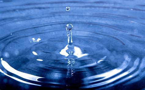 Water Drop On To Calm Water Causing Wave Effect · Free Stock Photo