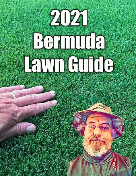 Bermuda Lawn Care Guide A Full How To On Bermuda Lawn Care And Lawn