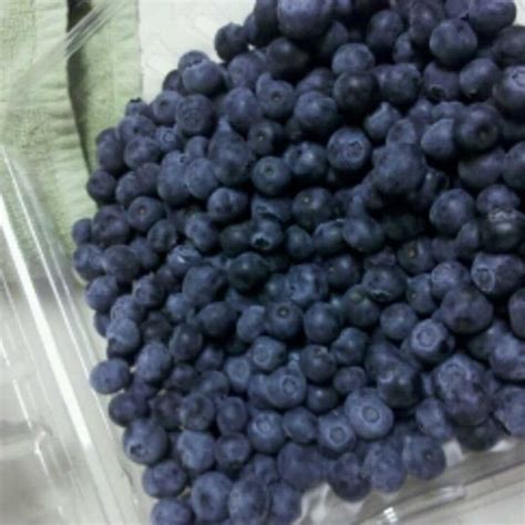 Blueberries Nutrition Facts 1 Cup Nutrition Ftempo