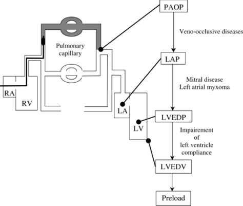 Say, if the url has four query parameters as in. Figure 1:Clinical relevance of data from the pulmonary ...