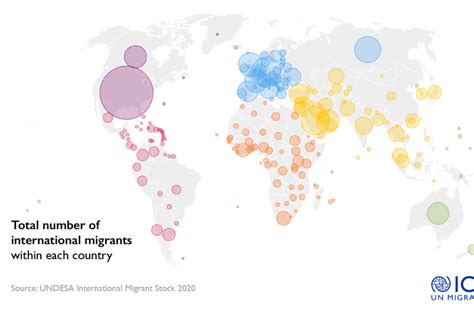 El Informe Sobre Las Migraciones En El Mundo Lanza Una Nueva Plataforma