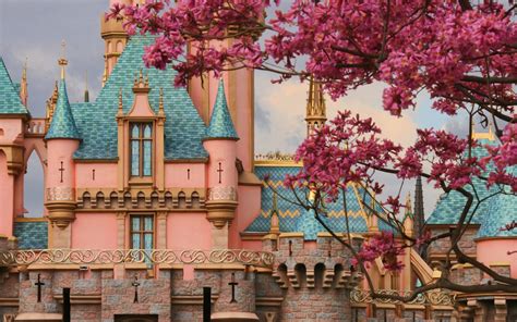 Pink Castle Wallpapers Top Free Pink Castle Backgrounds Wallpaperaccess