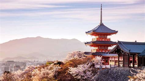 Where To See Cherry Blossoms In Kyoto Byfood