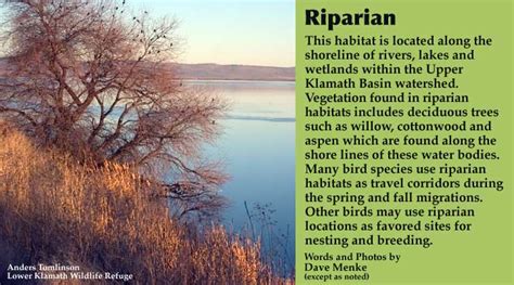 You can also add a definition of riparian habitat yourself. Habitats - Riparian - Welcome