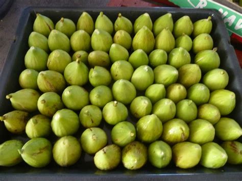 Comment Faire Secher Figues Fraiches Four