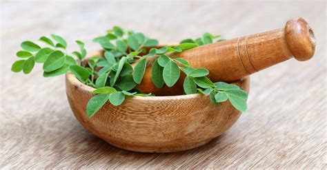 Herbs Wooden Bowl The Complete Guide To Natural Healing