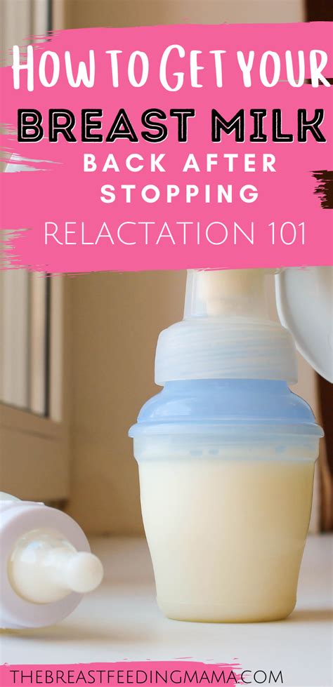 The Ultimate Relactation Guide How To Get Your Breast Milk Back The Breastfeeding Mama