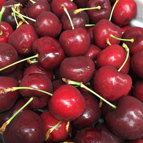 Tasmanian Reid Jumbo Red Cherry 2kg Premium Gold Box — Momobud
