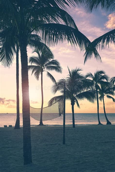 Tropical Beach With Coconut Palm Tree Silhouettes At Sunset Color