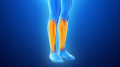 Calf Pain Causes And Effective Treatment Youtube