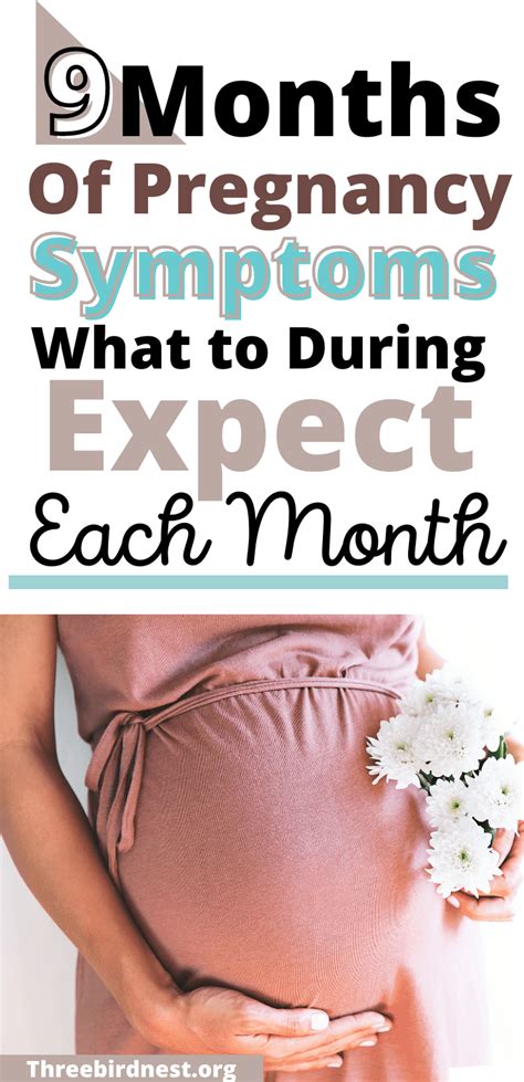 Pregnancy Symptoms You Need To Know From Month One Till Birth This
